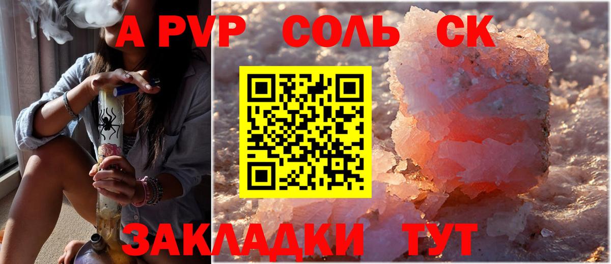 A PVP СК Алейск