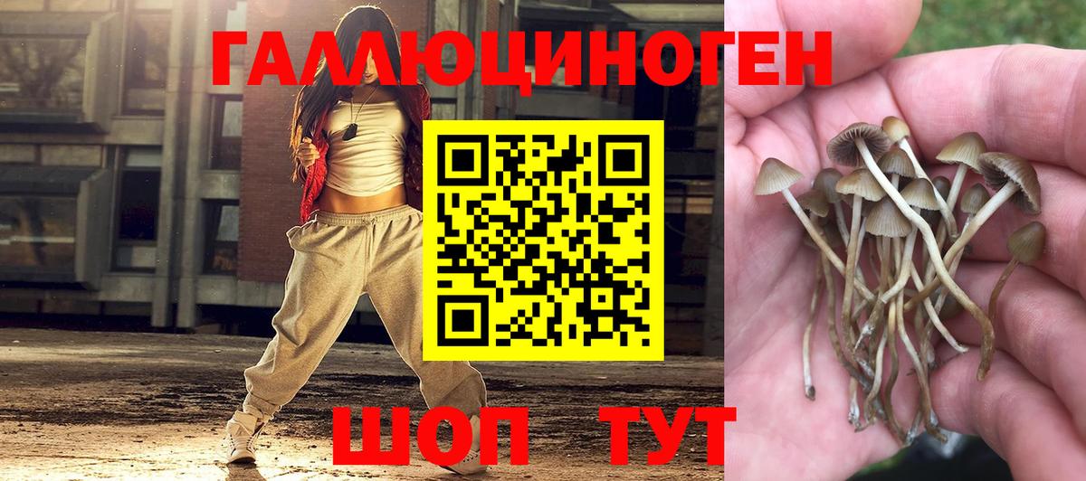 Алейск  Псилоцибиновые грибы MAGIC MUSHROOMS  Вход с VPN 