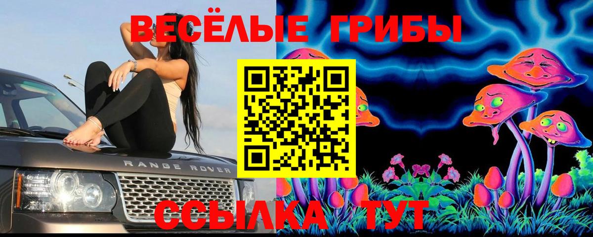 Галлюциногенные грибы ЛСД Алейск